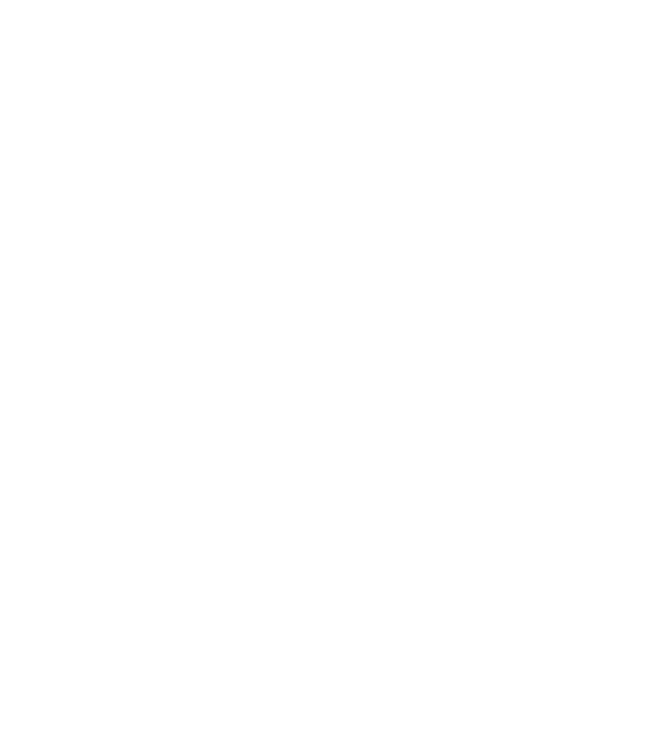 RS Servizi